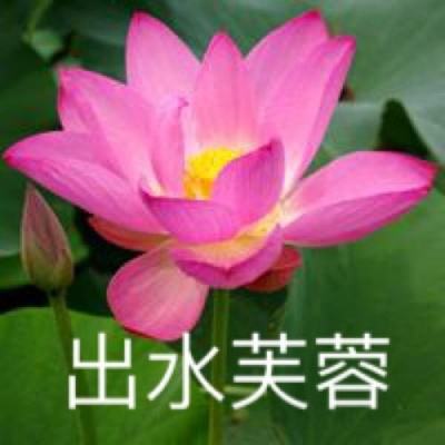 3d高尔夫破解版下载