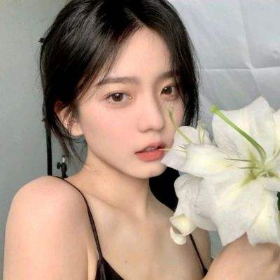 大清官老爷bt版手游下载